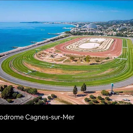 Marina Front De Mer Direct Plage