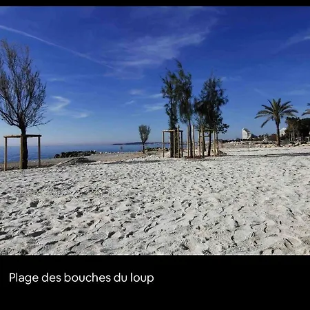 Marina Front De Mer Direct Plage